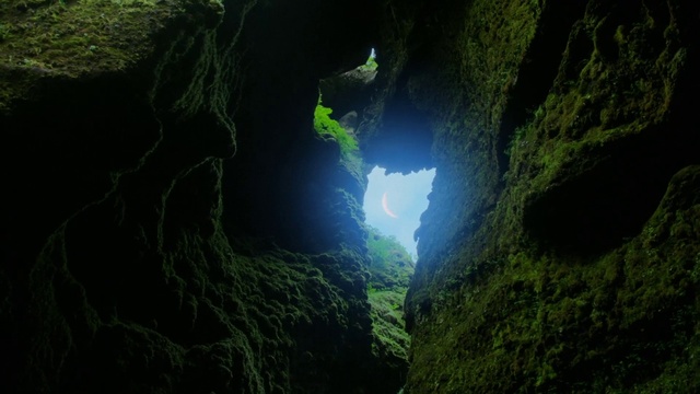 Video Reference: Nature, Green, Natural environment, Cave, Light, Natural landscape, Nature reserve, Formation, Jungle, Tree