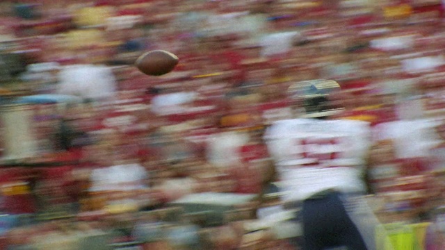 Video Reference: Crowd