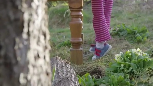 Video Reference: plant, flora, tree, grass, flower, grass family, shrub, trunk, outdoor structure, garden