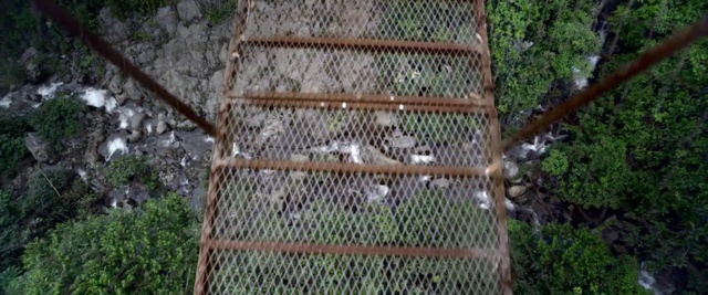 Video Reference: Net, Chain-link fencing, Mesh, Wire fencing, Tree, Plant, Fence