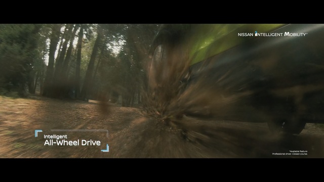 Video Reference: Nature, Natural environment, Atmospheric phenomenon, Tree, Forest, Biome, Darkness, Woodland, Screenshot, Digital compositing