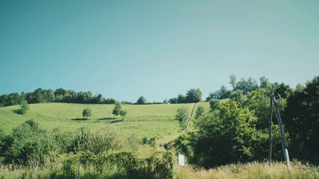 Video Reference: Natural landscape, Grassland, Pasture, Green, Nature, Meadow, Natural environment, Field, Tree, Plain, Grass, Outdoor, Grazing, Standing, Grassy, Cow, Large, Open, Tall, Wild, Walking, Lush, Herd, Eating, Elephant, Group, Cattle, Giraffe, Water, Zebra, Dirt, White, Horse, Sky, Landscape, Countryside, Plant