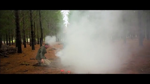Video Reference: Smoke, Atmospheric phenomenon, Tree, Woodland, Forest, Dust, Landscape, Fog, Mist