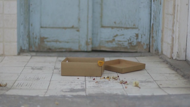 Video Reference: Wood, Floor, Table, Flooring, Furniture, Tile, Concrete