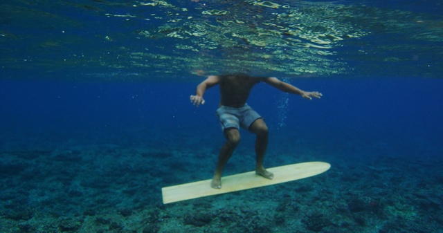 Video Reference: water, sea, underwater, freediving, ocean, snorkeling, diving, leisure, vacation, marine biology