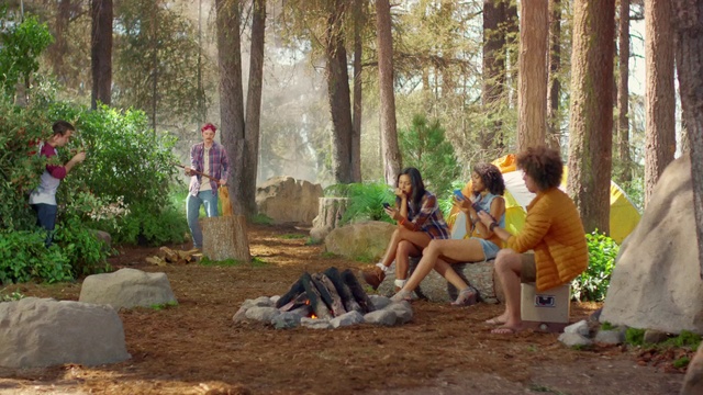 Video Reference: Natural environment, Tree, Woodland, Nature reserve, Adaptation, Community, Botany, Forest, Jungle, Fun