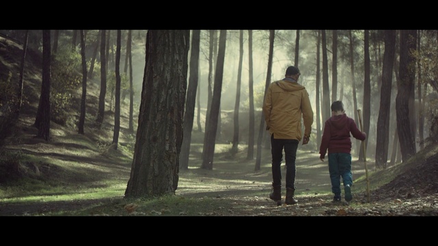 Video Reference: People in nature, Nature, Forest, Tree, Woodland, Natural environment, Atmospheric phenomenon, Standing, Woody plant, Atmosphere