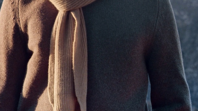 Video Reference: Clothing, Sweater, Outerwear, Wool, Woolen, Cardigan, Brown, Neck, Textile, Sleeve