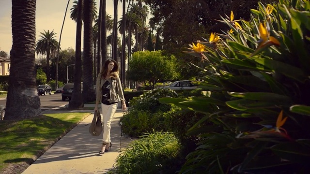 Video Reference: plant, arecales, palm tree, lighting, tree, walkway, grass, landscape, landscaping, outdoor structure, Person