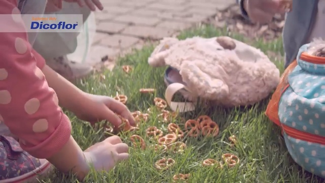 Video Reference: Grass, Soil, Lawn, Grass, Plant, Adaptation, Garden, Mushroom, Play
