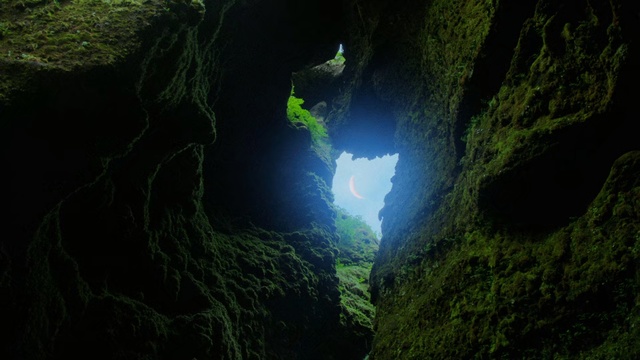 Video Reference: Nature, Green, Cave, Light, Natural environment, Natural landscape, Formation, Pit cave, Tree, Sky