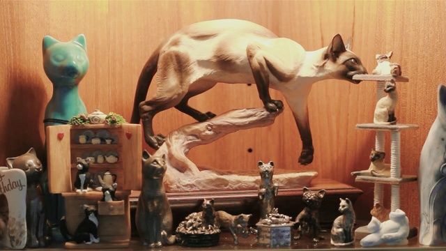 Video Reference: mammal, cat, small to medium sized cats, cat like mammal, sculpture, carnivoran