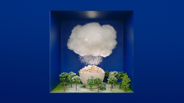Video Reference: Blue, Cloud, Sky, Hydrangea, Flower, Meteorological phenomenon, Cornales