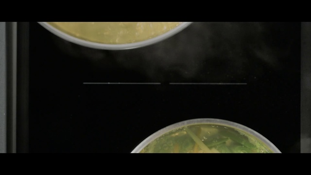 Video Reference: Green, Black, Yellow, Sky, Circle, Text, Macro photography, Font, Leaf, Water