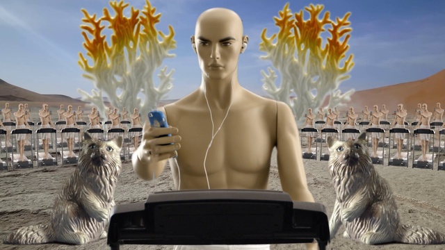 Video Reference: Meerkat, Sculpture, Art, Animation, Games