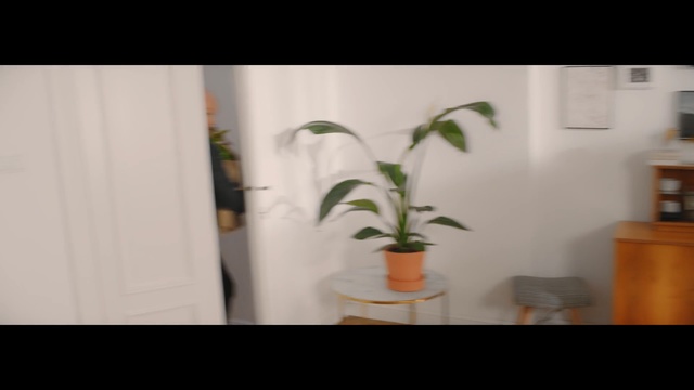 Video Reference: Flower, Houseplant, Plant, Flowerpot, Leaf, Tree, Room, Plant stem, Flowering plant, Dendrobium