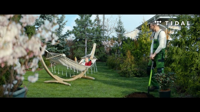 Video Reference: Swing, Backyard, Hammock, Tree, Yard, Lawn, Outdoor play equipment, Leisure, Fun, Grass