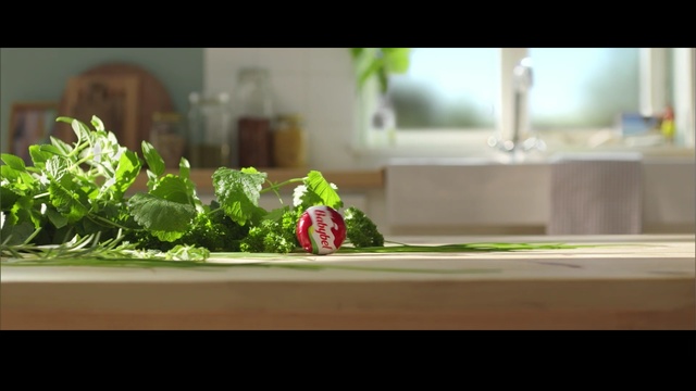 Video Reference: plant, table, herb, leaf vegetable, floristry, floral design, flowerpot, grass, houseplant