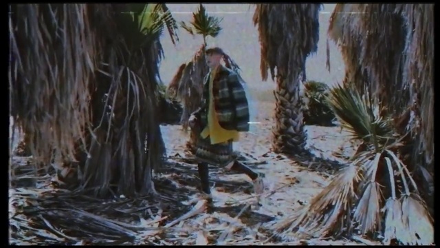 Video Reference: tree, painting, watercolor paint, art, forest, plant, screenshot, bayou, visual arts, jungle