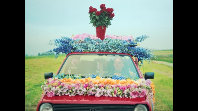 Video Reference: car, land vehicle, vehicle, motor vehicle, mode of transport, plant, city car, luxury vehicle, flower, family car, Person