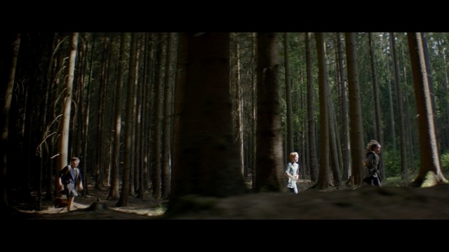 Video Reference: kids, kid, running, forest, nature, tree, woodland, ecosystem, woody plant, old growth forest, darkness, screenshot, jungle