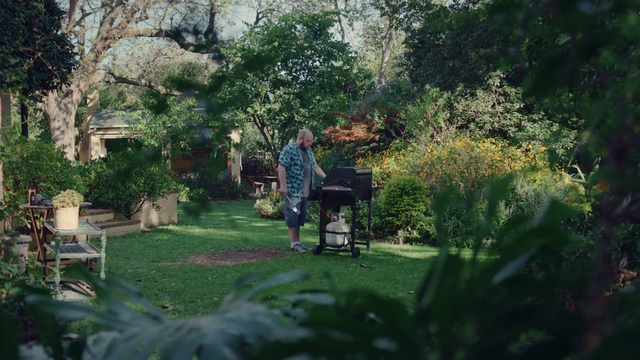 Video Reference: Nature, Garden, Vegetation, Grass, Botany, Lawn, Tree, Yard, Leaf, Backyard