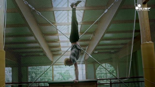 Video Reference: Zoo, Net, Performance, Mesh