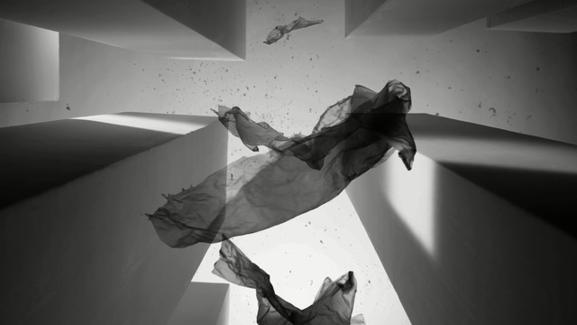 Video Reference: White, Black, Black-and-white, Monochrome photography, Shadow, Monochrome, Arm, Photography, Stock photography, Leg