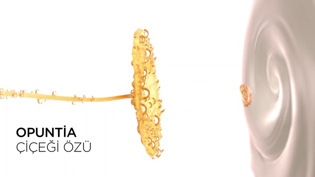 Video Reference: Plant, Cuisine