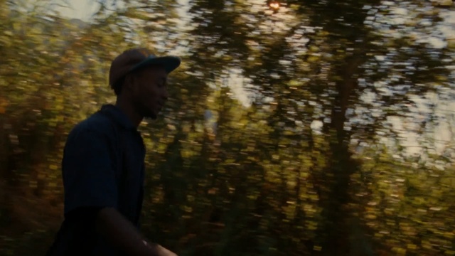 Video Reference: Tree, Natural environment, Leaf, Forest, Wilderness, Sky, Water, Sunlight, Reflection, Woody plant