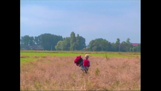 Video Reference: grassland, ecosystem, field, farm, prairie, agriculture, sky, crop, pasture, plain
