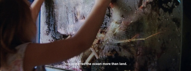 Video Reference: Tree, Mold, Art