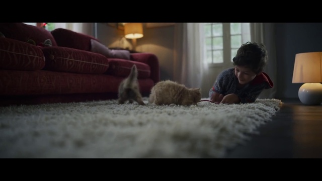 Video Reference: Couch, Room, Fun, Human, Living room, Fur, Mouth, Flooring, Floor, Furniture