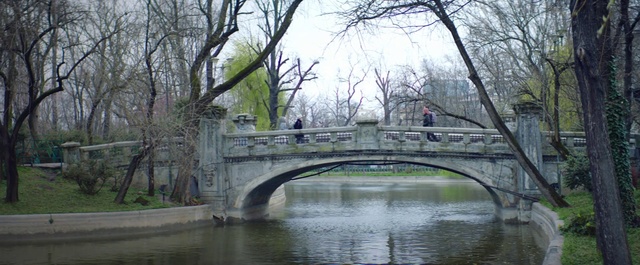 Video Reference: Arch bridge, Humpback bridge, Waterway, Canal, Bridge, Bank, Arch, River, Tree, Water