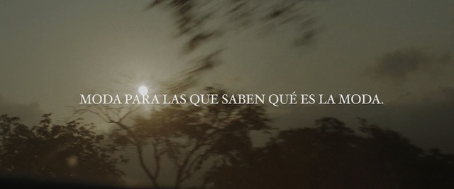 Video Reference: sky, atmosphere, morning, mist, night, cloud, tree, sunlight, evening, darkness