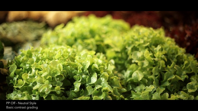Video Reference: leaf vegetable, lettuce, non vascular land plant, herb
