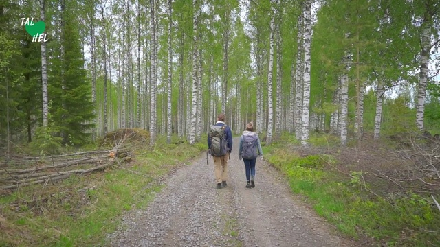 Video Reference: Tree, Trail, Nature reserve, Walking, Forest, Natural landscape, Natural environment, Biome, Thoroughfare, Woodland