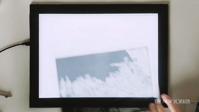 Video Reference: picture frame, display device, paint