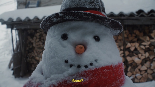 Video Reference: snowman, snow, winter, freezing, snout