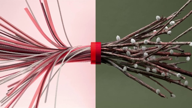 Video Reference: Wire, Cable, Networking cables, Technology, Electronic device, Electronics accessory, Electrical wiring, Twig, Branch, Plant