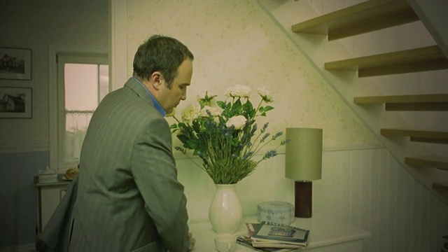 Video Reference: green, flower, room, home, interior design, plant, house, floristry, ceiling, window, Person