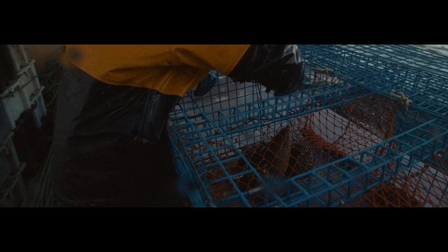 Video Reference: Blue, Net, Snapshot, Screenshot, Photography, Space, World, Darkness, Floor