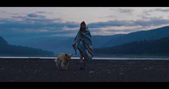 Video Reference: Sky, Dog, Canidae, Human, Photography, Sporting Group, Sea, Horizon, Vacation, Ocean, Person