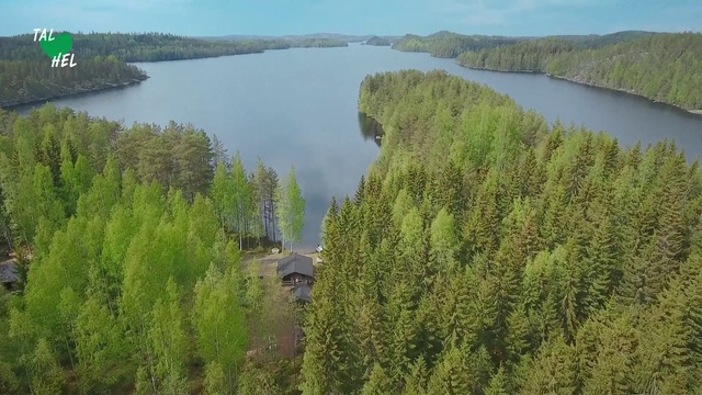 Video Reference: Water resources, Natural landscape, Nature, Vegetation, Nature reserve, Water, Reservoir, Tree, Biome, River