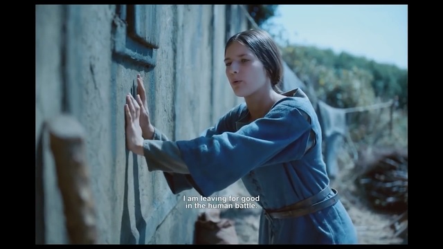 Video Reference: person, people, adult