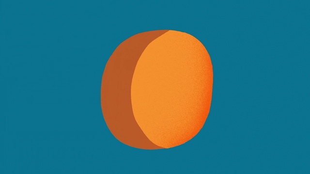 Video Reference: Orange, Blue, Daytime, Circle, Yellow, Logo, Graphics, Peach, Colorfulness, Illustration