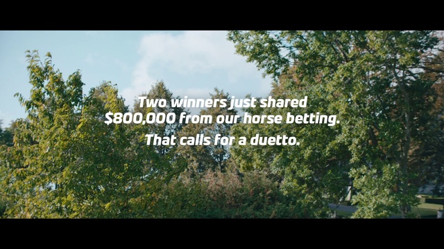 Video Reference: Vegetation, Nature, Tree, Nature reserve, Natural environment, Forest, Natural landscape, Leaf, Biome, Green