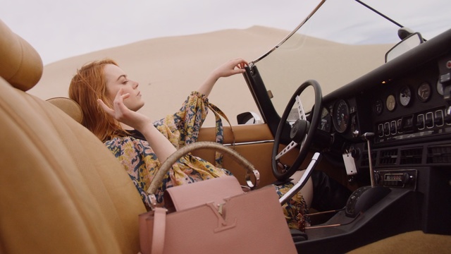 Video Reference: Vehicle, Steering wheel, Plant