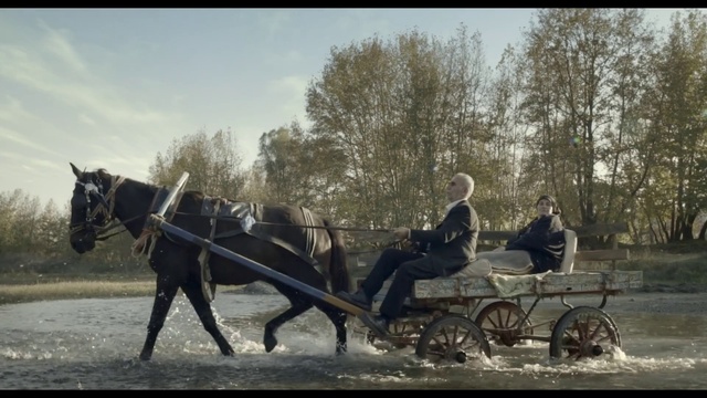 Video Reference: Horse and buggy, Horse harness, Horse, Carriage, Vehicle, Chariot, Horse tack, Rein, Cart, Chariot racing