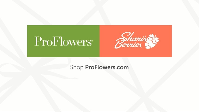 Video Reference: text, logo, font, product, product, line, brand, graphics, graphic design